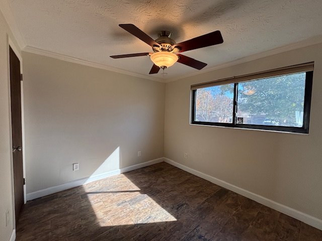 Unique 3-Bedroom Pool Home for Rent in Orange Park – RV Hookup & Exceptional Outdoor Living property image