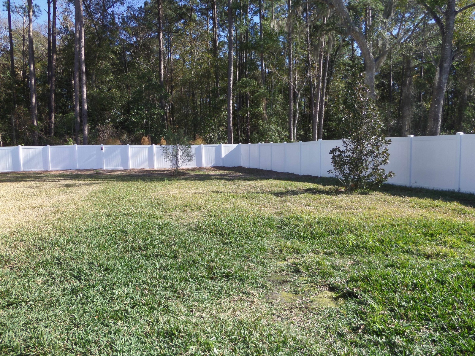 Beautiful 4 Bedroom 2 bath 3 Car garage Home property image