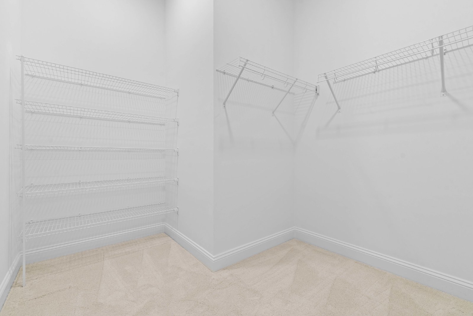 BRAND NEW TOLL BROTHERS HOME! property image