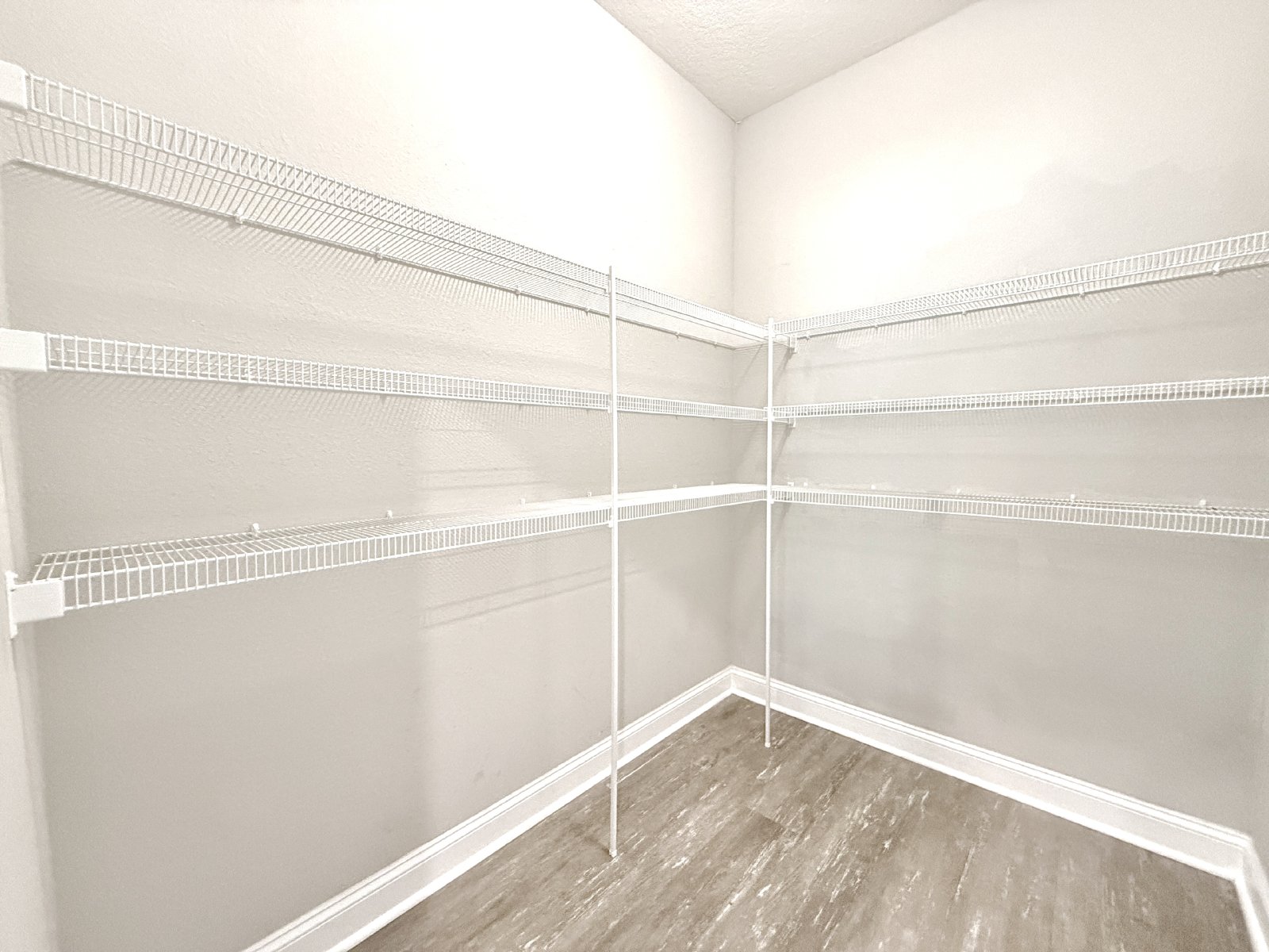 5BR Home with Downstairs Guest Suite, Screened Lanai & Fenced Yard property image