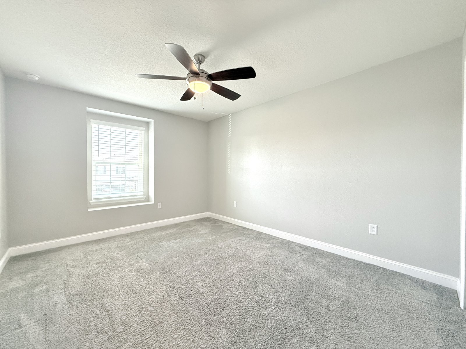 5BR Home with Downstairs Guest Suite, Screened Lanai & Fenced Yard property image