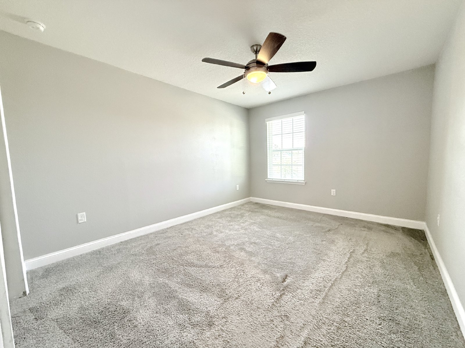 5BR Home with Downstairs Guest Suite, Screened Lanai & Fenced Yard property image