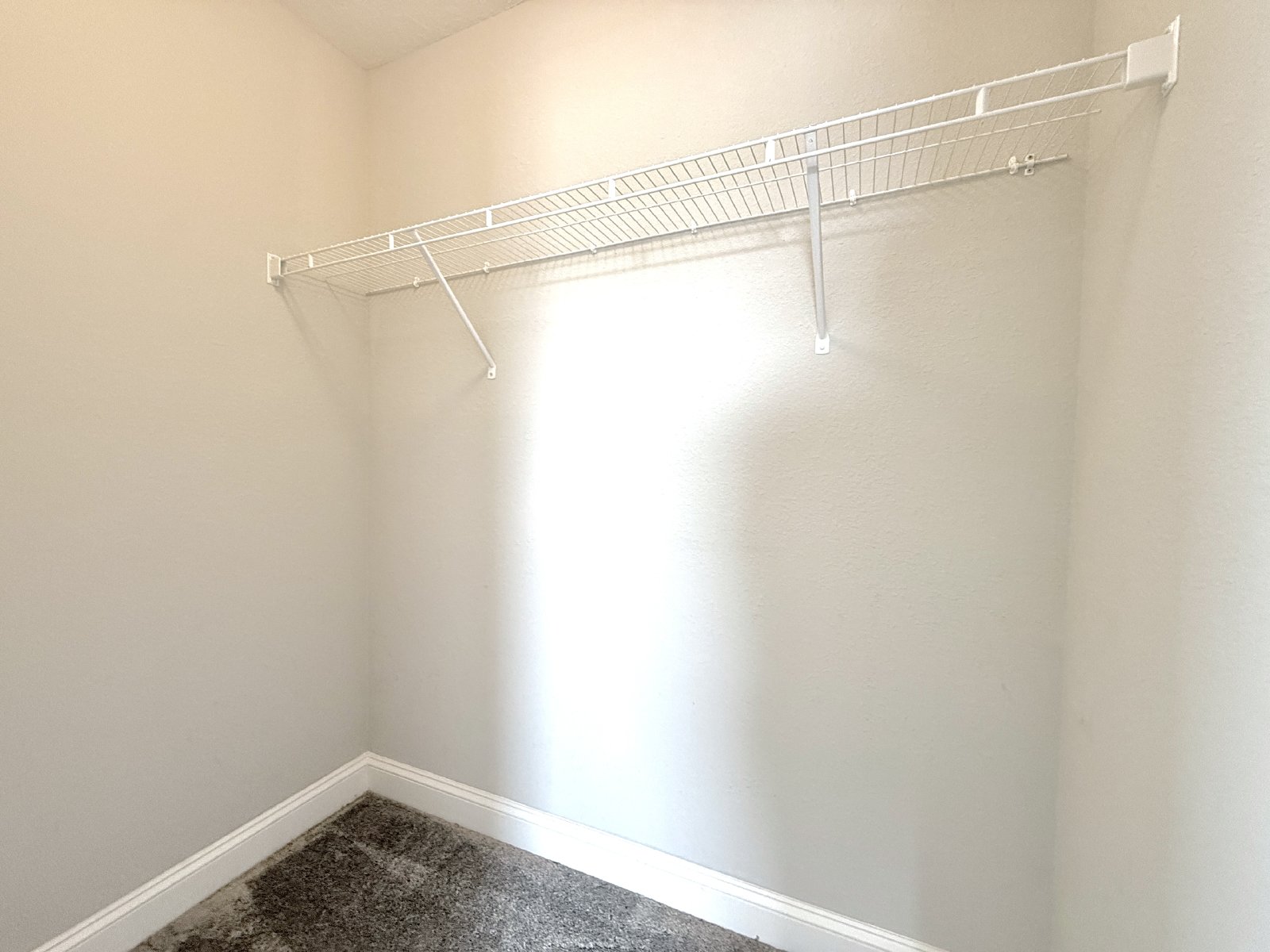 5BR Home with Downstairs Guest Suite, Screened Lanai & Fenced Yard property image