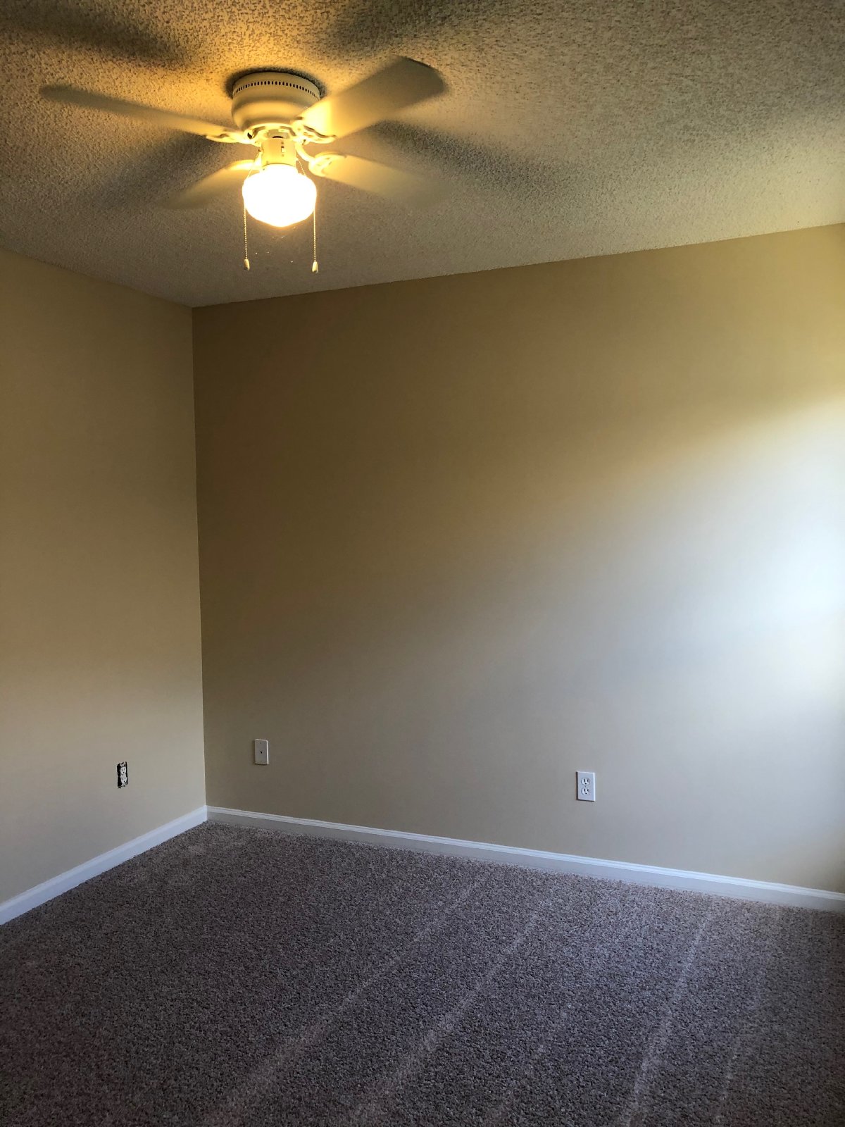 Westside Renovated Home property image