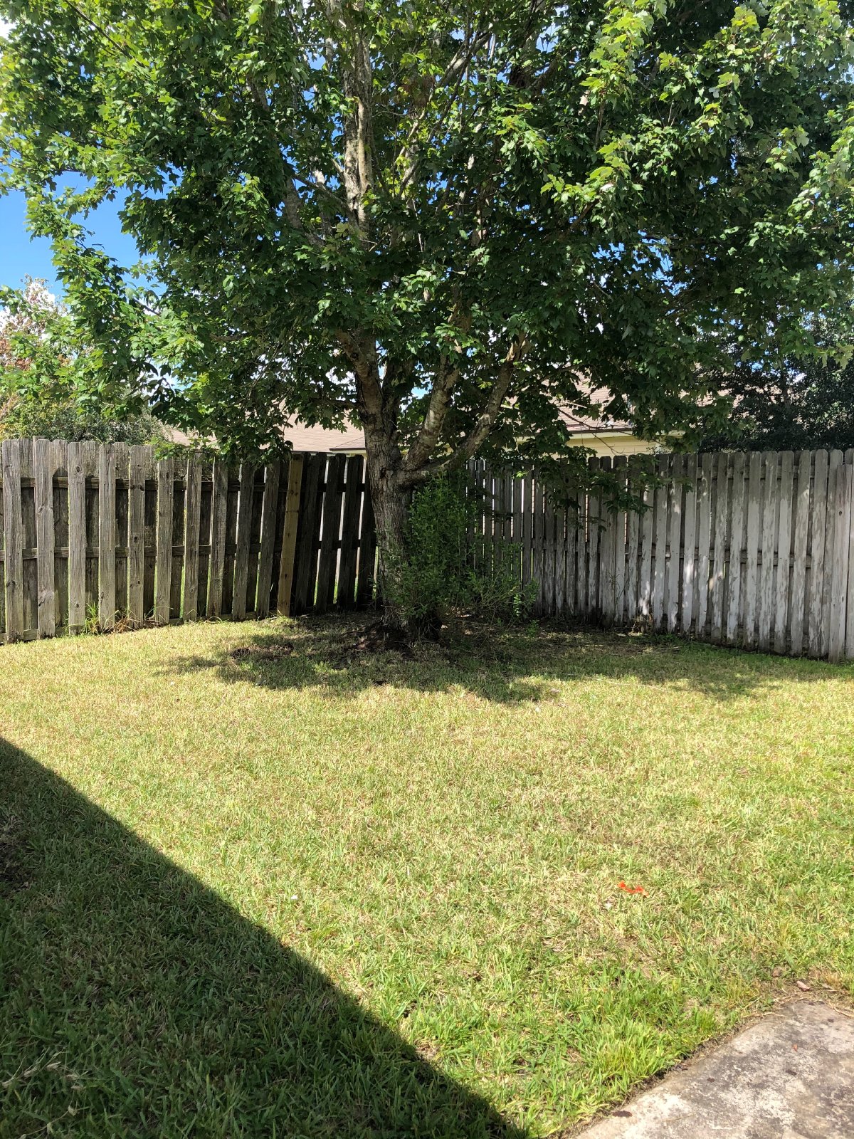Westside Renovated Home property image