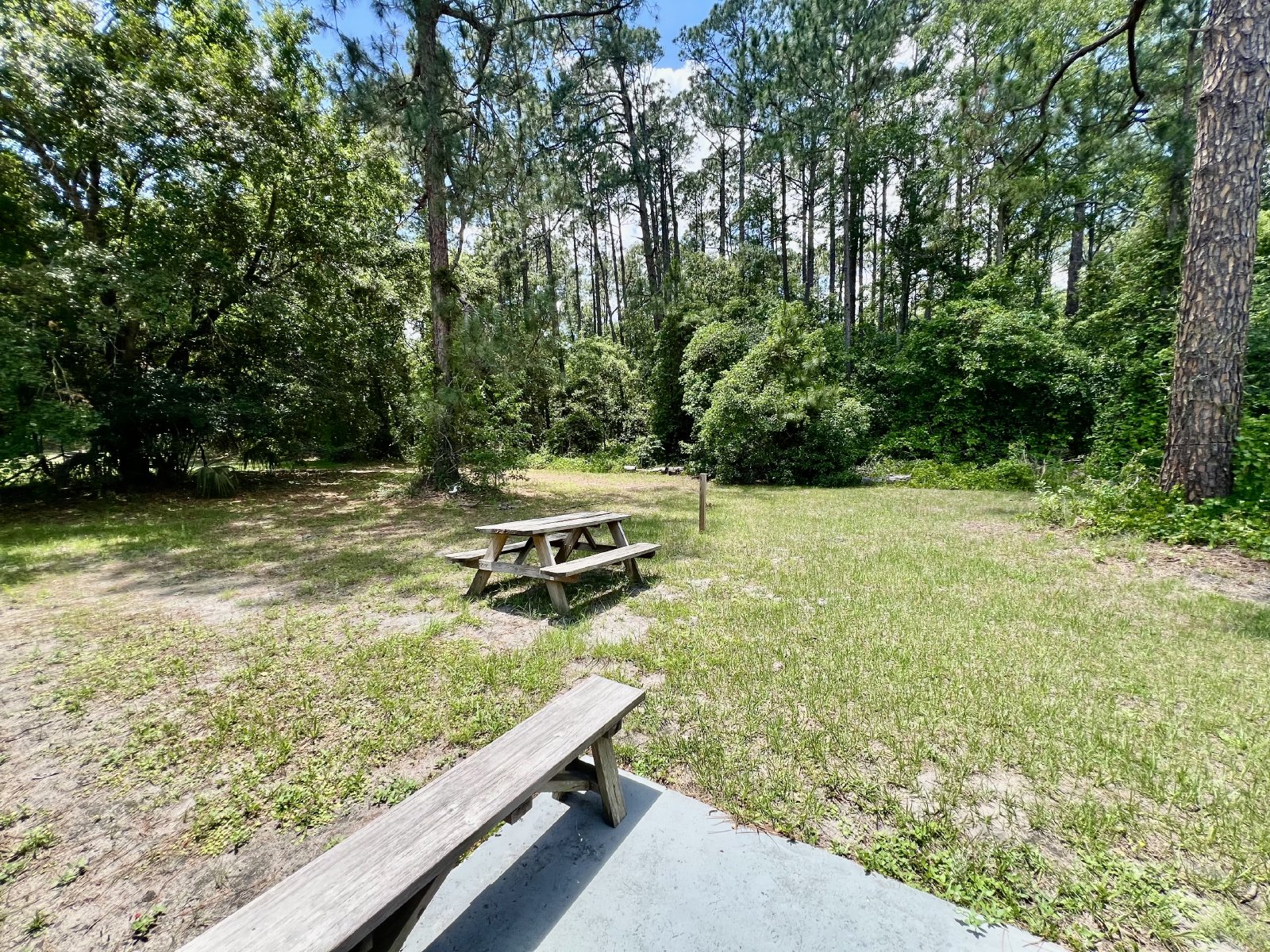 Affordable 3-bedroom home with large yard property image