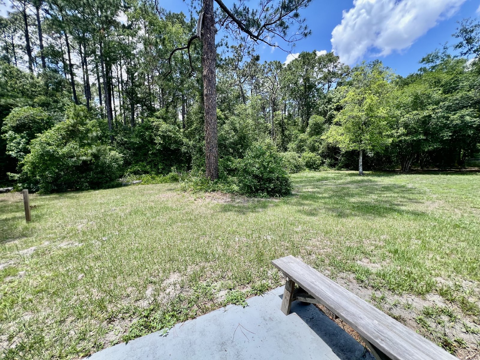 Affordable 3-bedroom home with large yard property image