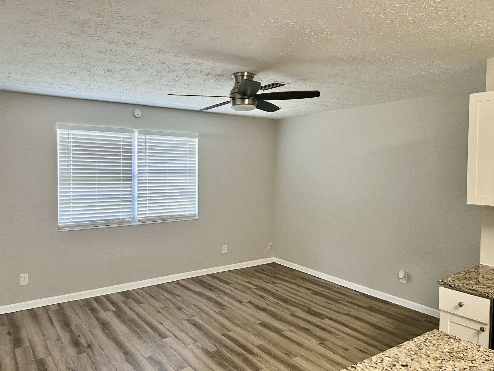 Affordable 3-bedroom home with large yard property image