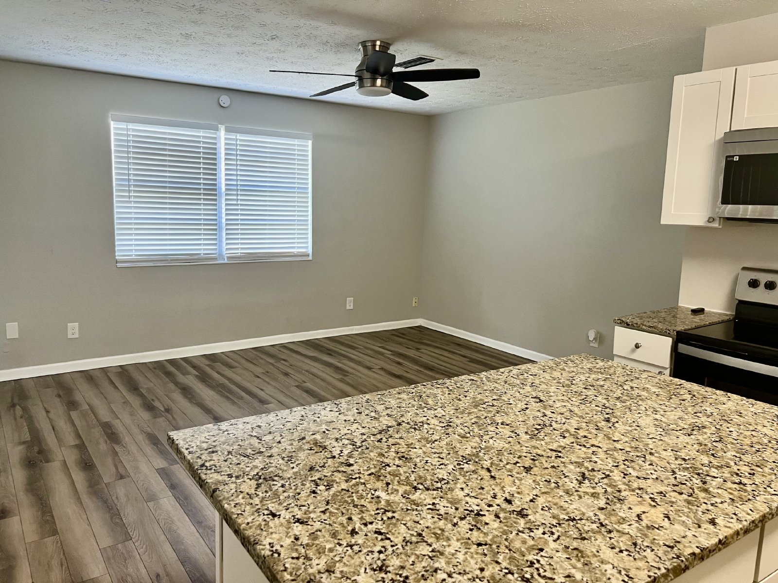 Affordable 3-bedroom home with large yard property image