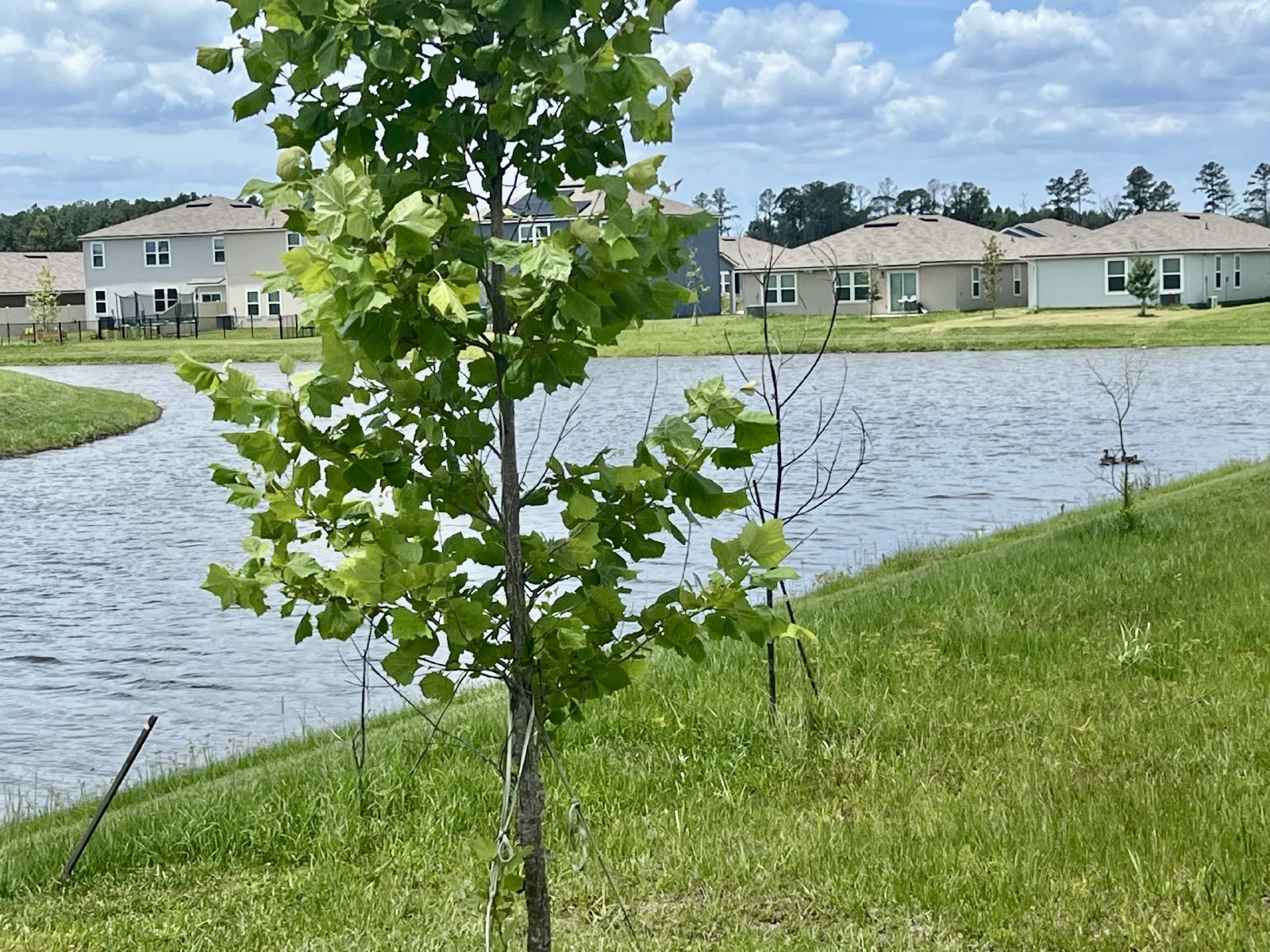 Almost-New Pond View Home in a Resort-Style Community! property image