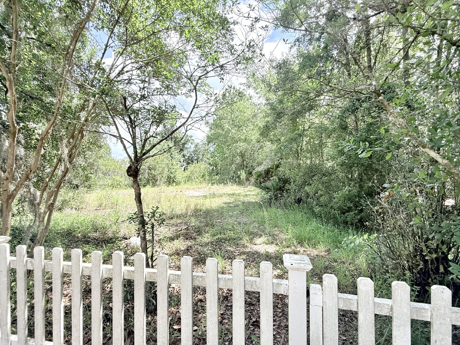Spacious Two-Story Home with Hot Tub, Pool Table & Fenced Yard in Panther Creek property image