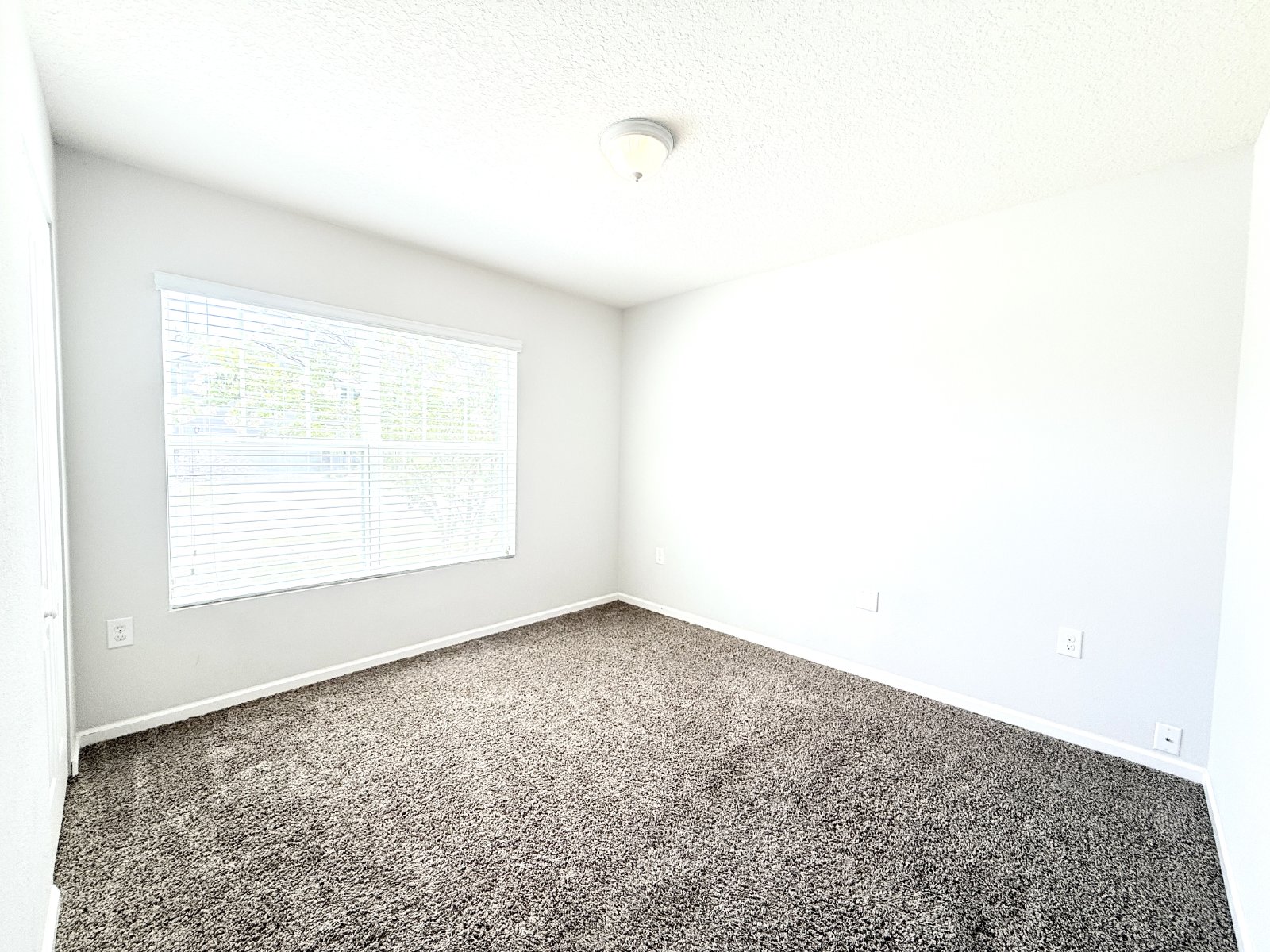 Spacious 4BR Home with Large Fenced Yard & Community Pool property image