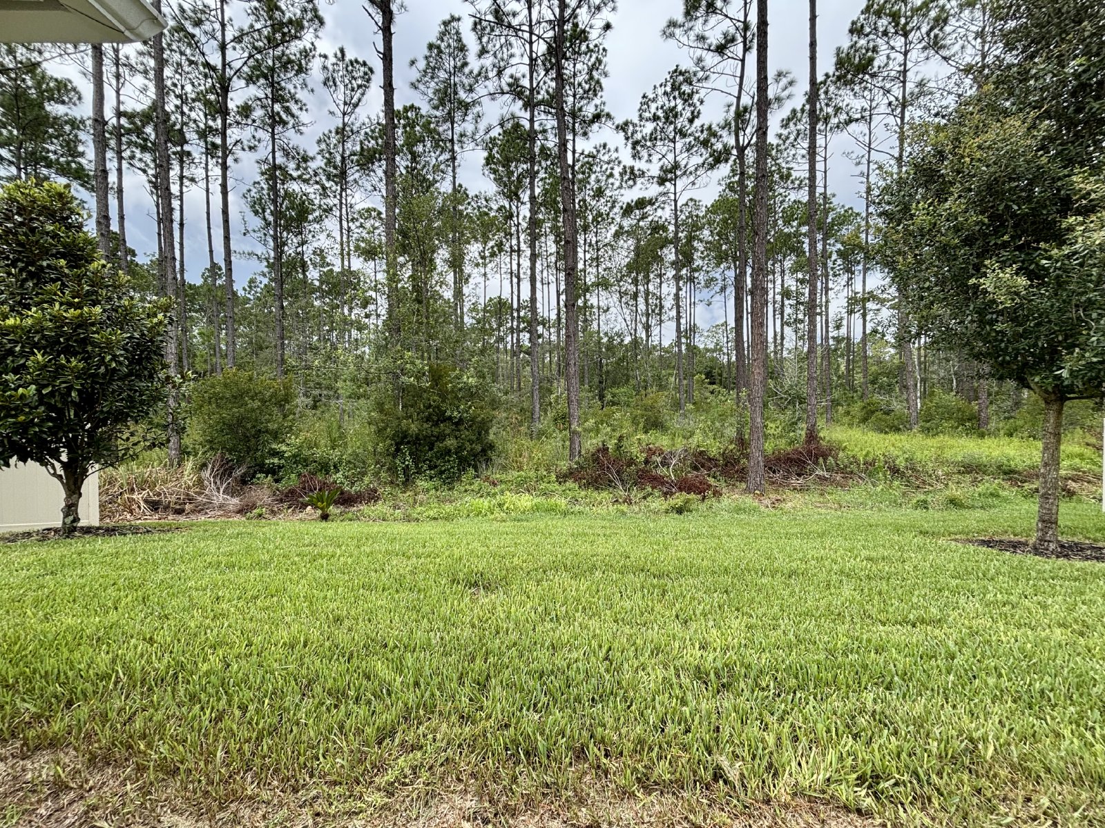 Newer Constructed Home in Green Cove Springs property image