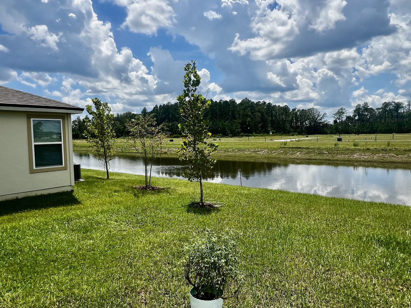 Like-New 2025 4-bedroom home for rent property image