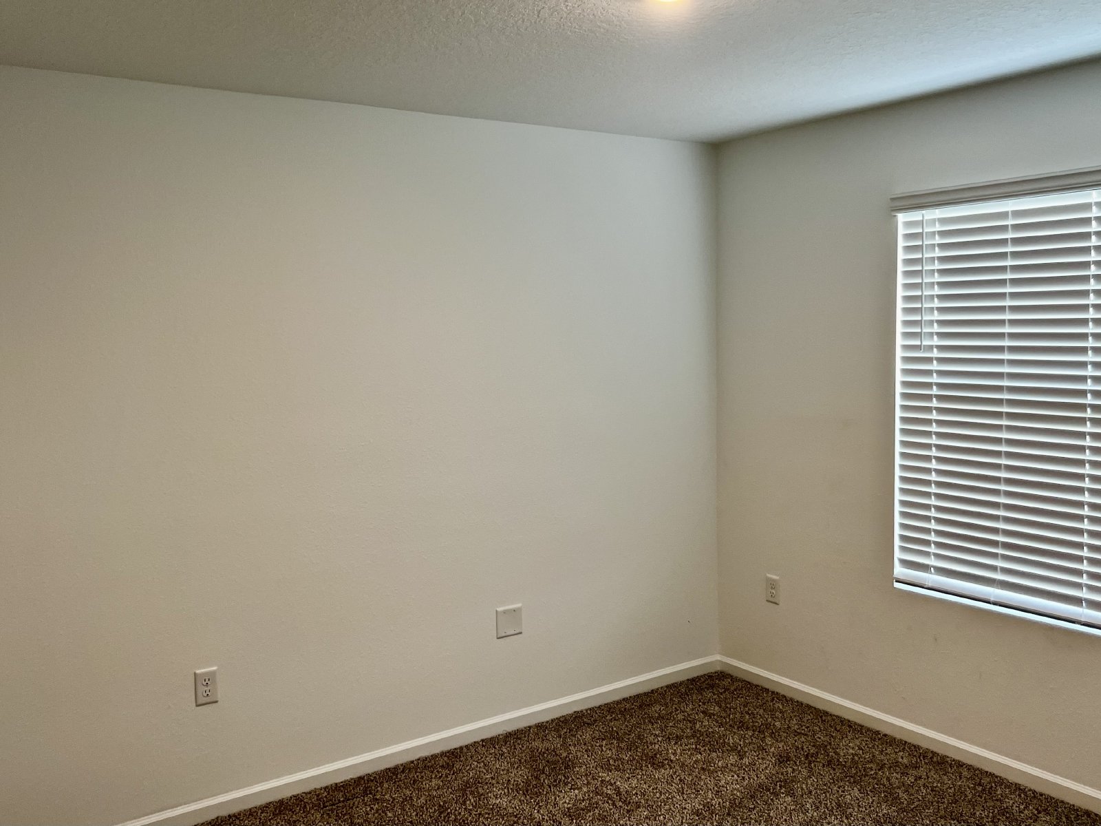 Like-New 2025 4-bedroom home for rent property image