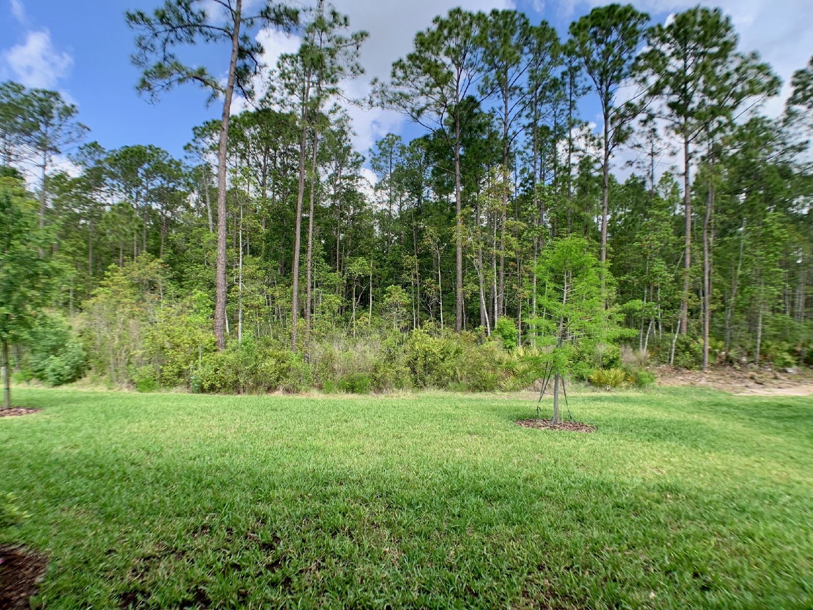 Now Available in GreyHawk – 4 Bedroom, 3 Bath Home with Scenic Backyard Views! property image