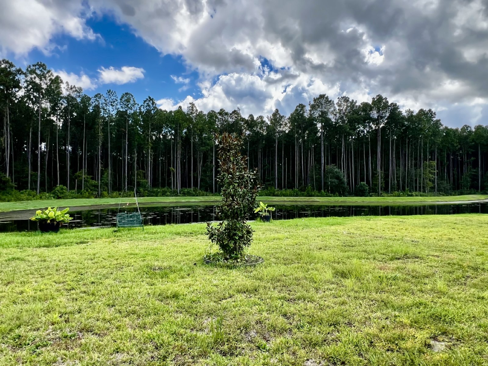 Beautiful 3-Bedroom Home with Pond Views – Built in 2023! property image