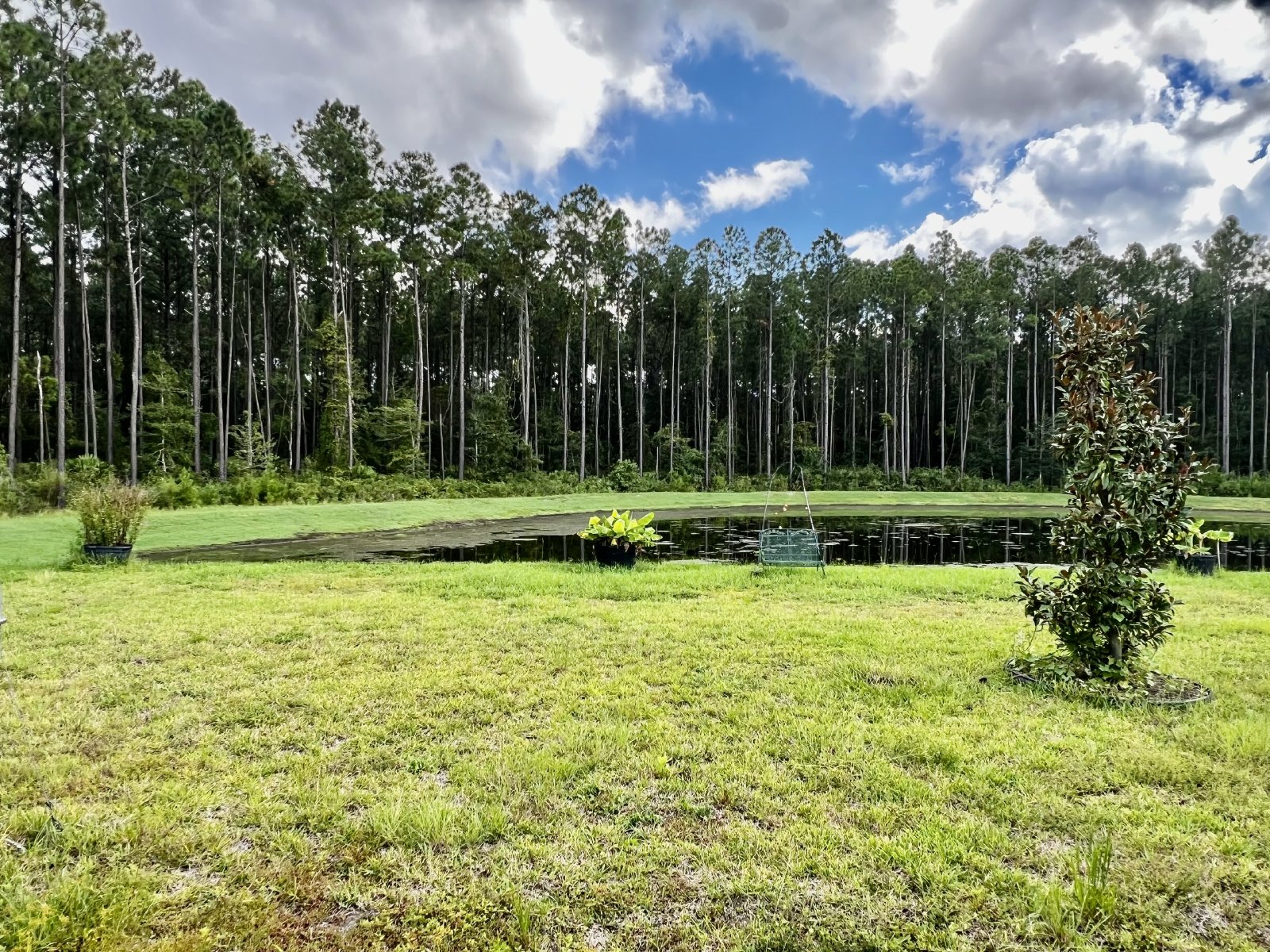 Beautiful 3-Bedroom Home with Pond Views – Built in 2023! property image
