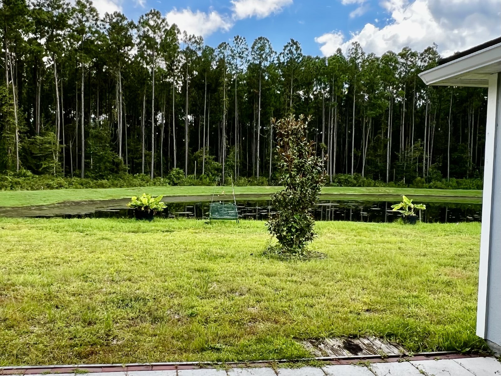 Beautiful 3-Bedroom Home with Pond Views – Built in 2023! property image