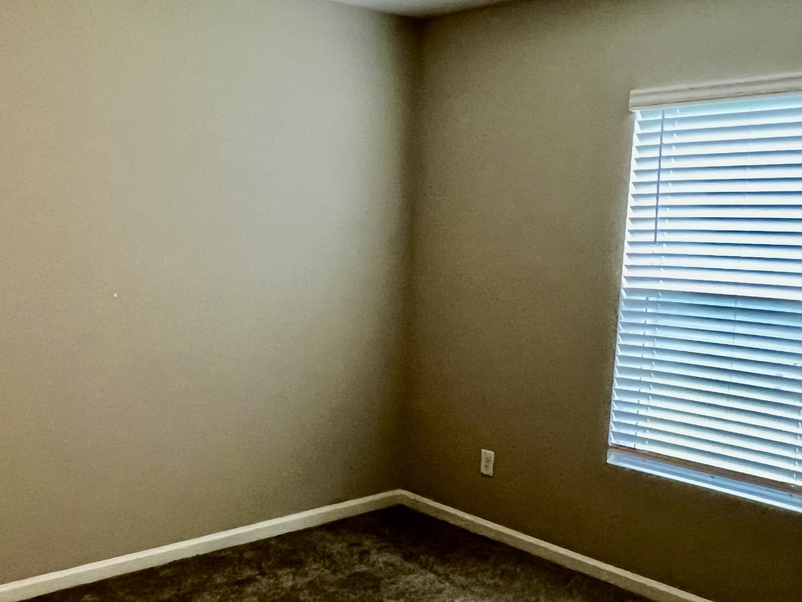 Beautiful 3-Bedroom Home with Pond Views – Built in 2023! property image