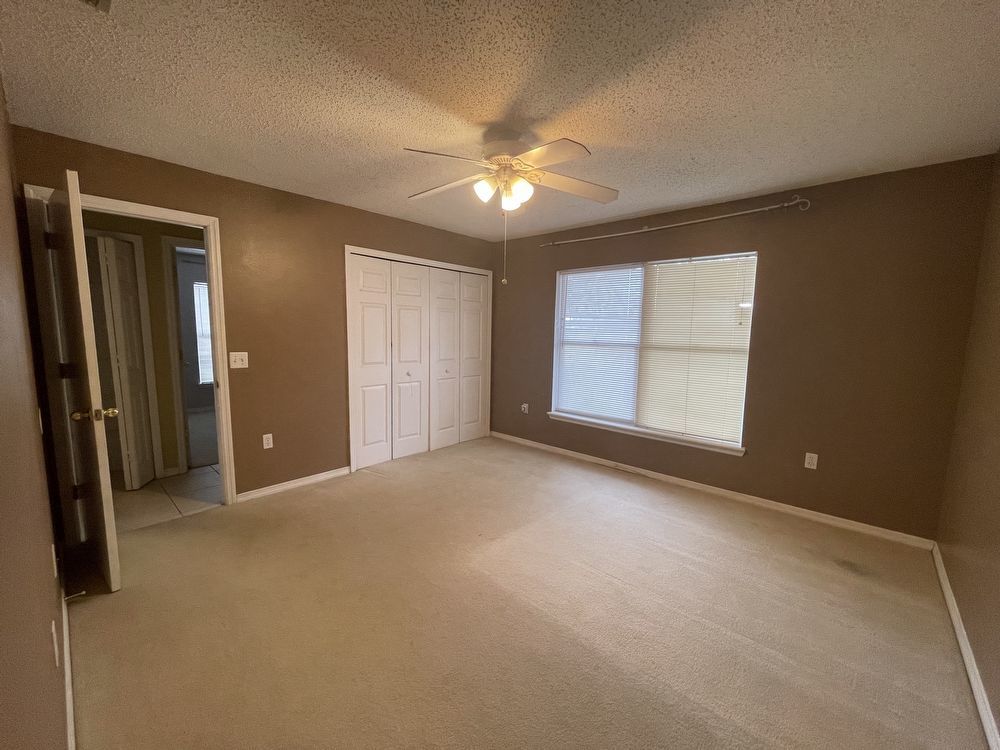 Single story 3 bed 2 bath in Arlington property image