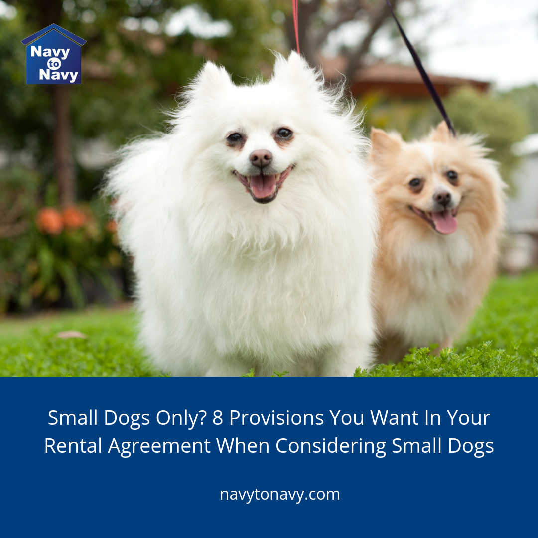 small dogs only rental agreement provisions