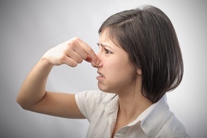 Property Management Blog